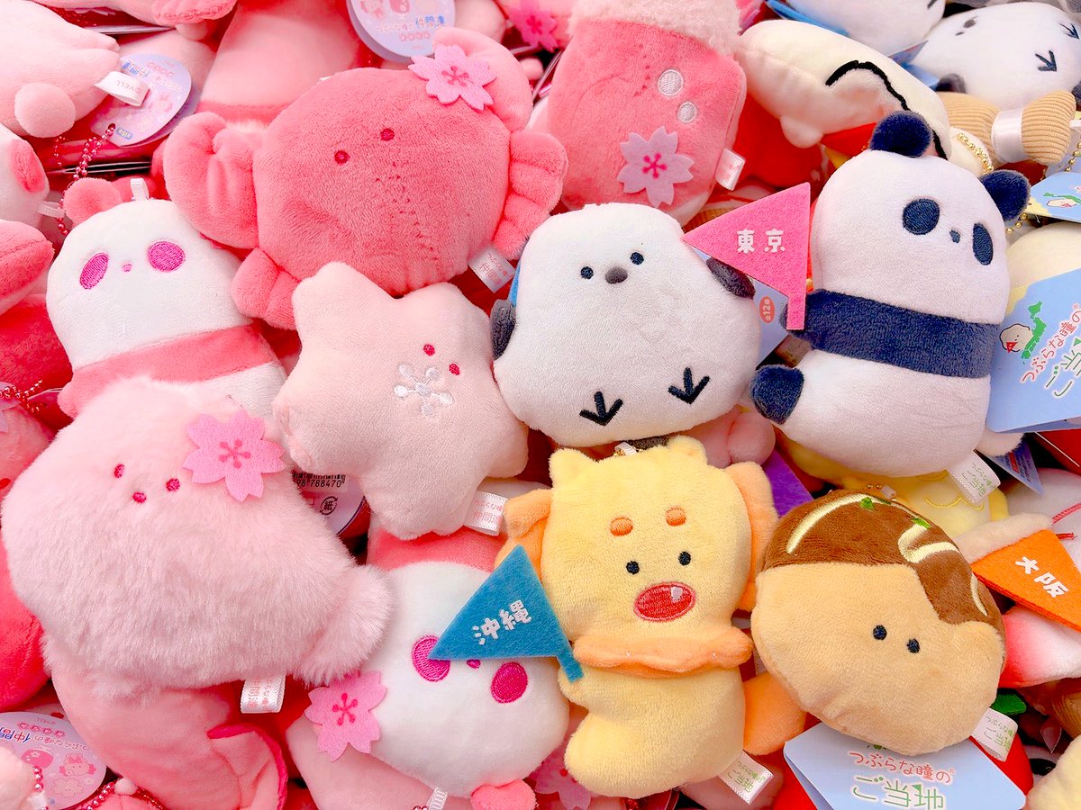 つぶらな瞳の仲間達【公式】 (@tsuburana_aqua) / Posts / X