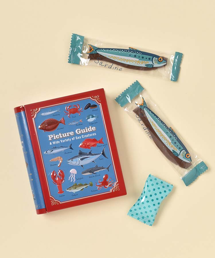 まるで図鑑みたいなお菓子缶🐟🐠／ 海の生き物がたっぷり描かれた