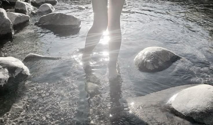 seraphicxc's tweet image. 