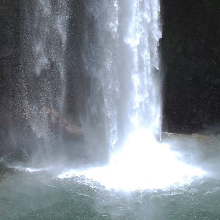 seraphicxc's tweet image. 