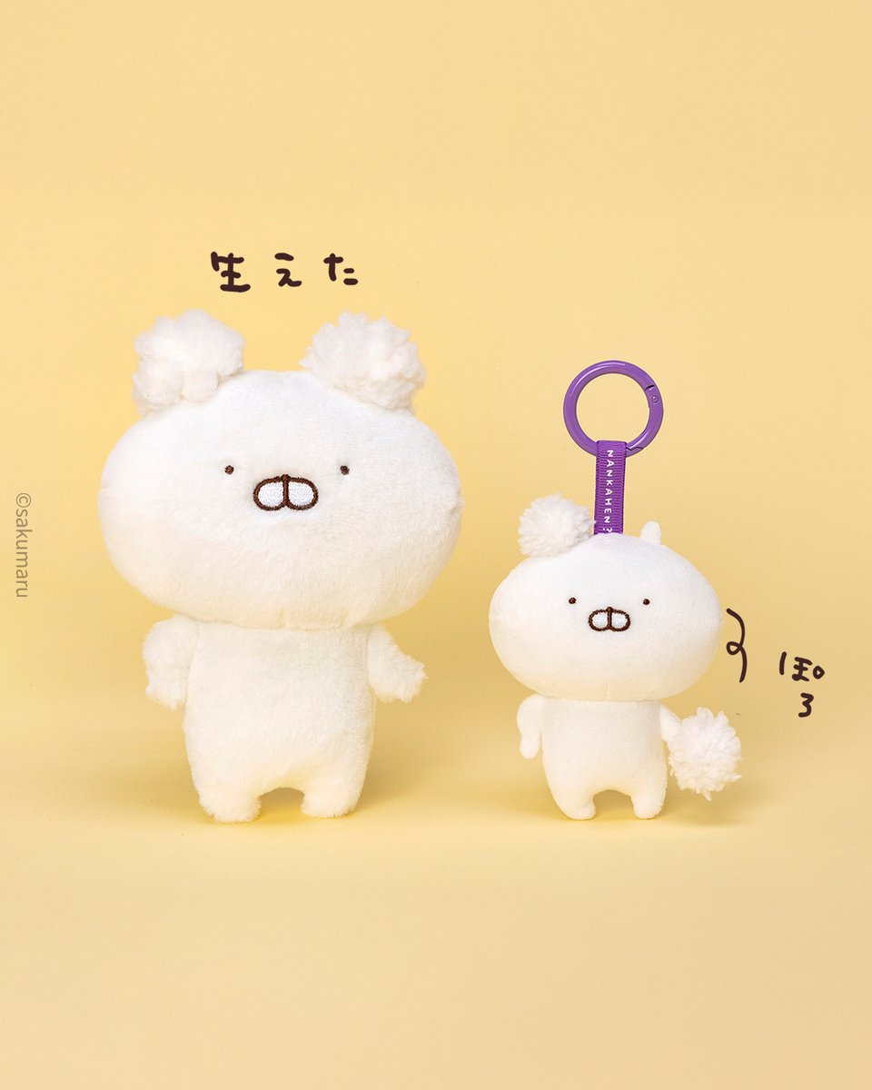 sakumaru🥖 うさまる展@静岡伊勢丹1/21(水)～2/15(日) (@skmr_29