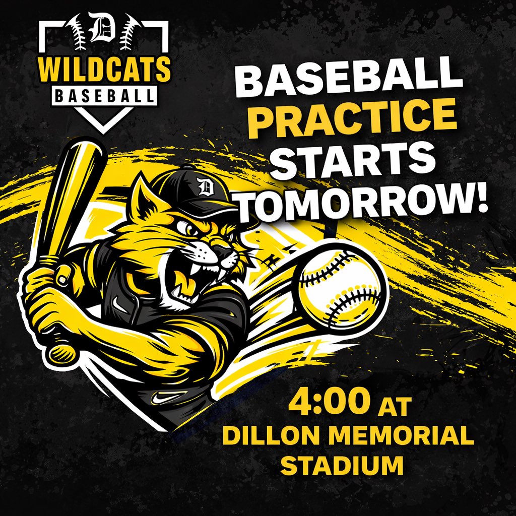 Dillon Wildcats Baseball tweet media