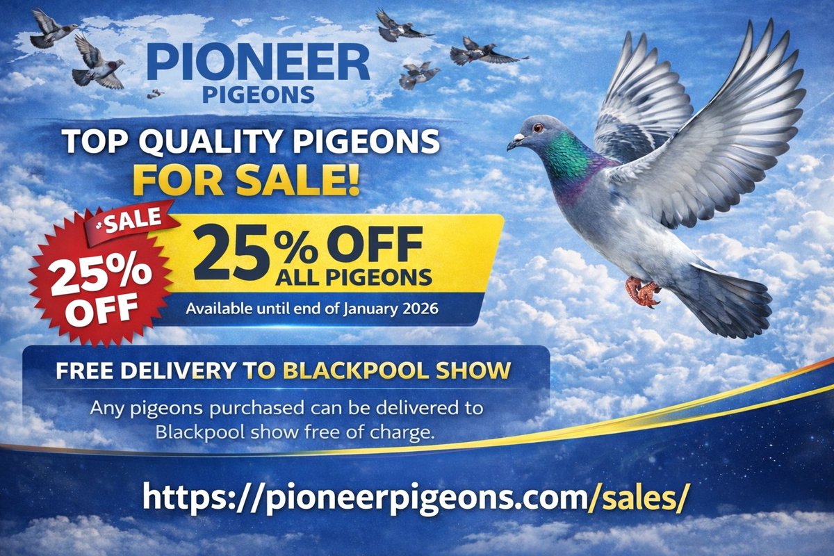 🔥 ELITE RACING PIGEONS FOR SALE 🔥

25% OFF all pigeons until end of Jan 2026.

🧬 Frans Zwols
🧬 Snow Prince (McFadden)
🧬 Maurice O’Donnell (Star Boy / Miss Maurice)
🧬 Proven OLR bloodlines

🏁 2025 UK Premier OLR
• 11th Final
• 2nd Ace Pigeon
(Only 20 birds home on the