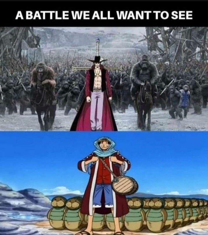One Piece Daily tweet media