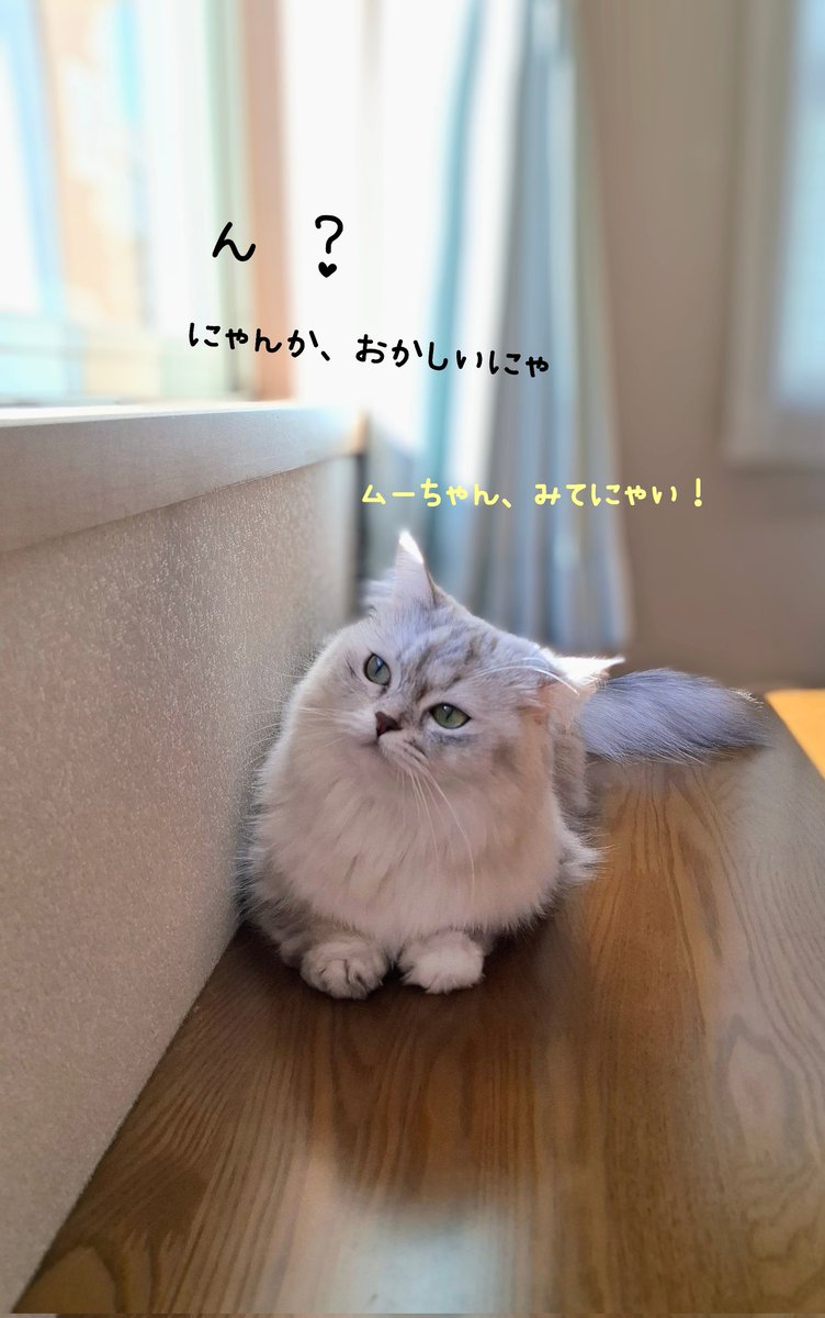 おそにゃん🌤️ 今朝は、ママのやる気スイッチが なかなか入らなかった