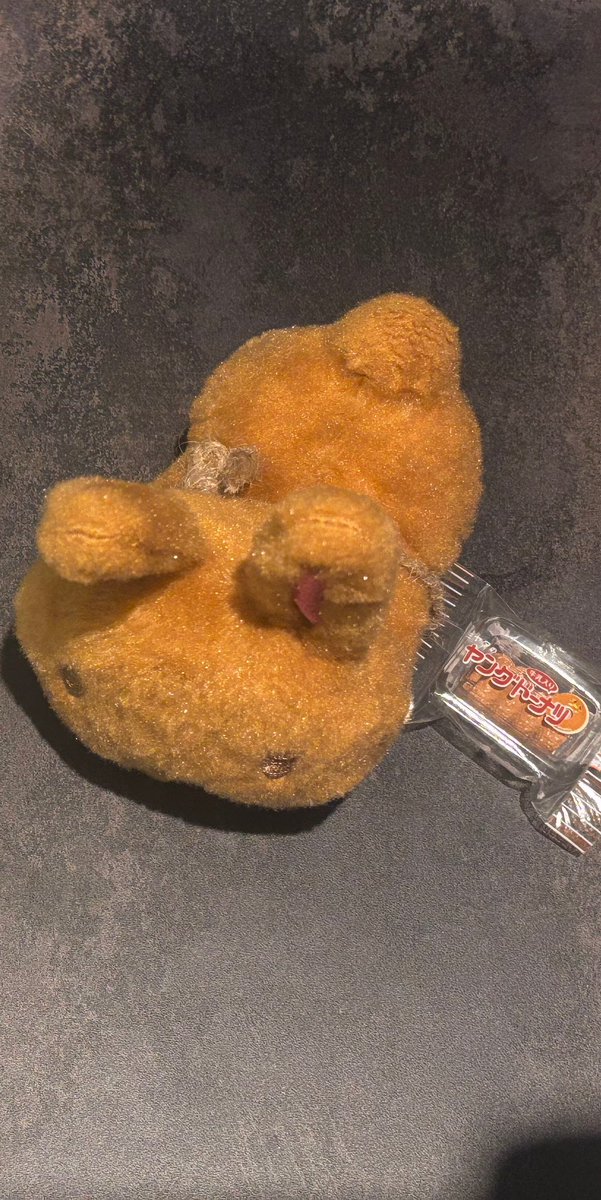 mame1107's tweet image. 名古屋駅11番出口付近の桜通口地下コインロッカーから新幹線下りホームにかけて(もしくは駅周辺)でみみちゃん2つを落としました
・冬ver
・ノーマル ヤングドーナツのキーホルダーが麻紐でついています(画像参照)
 
まだ駅や警察には届いていないようなので見かけた方はご連絡いただけますと幸いです🙇‍♀️