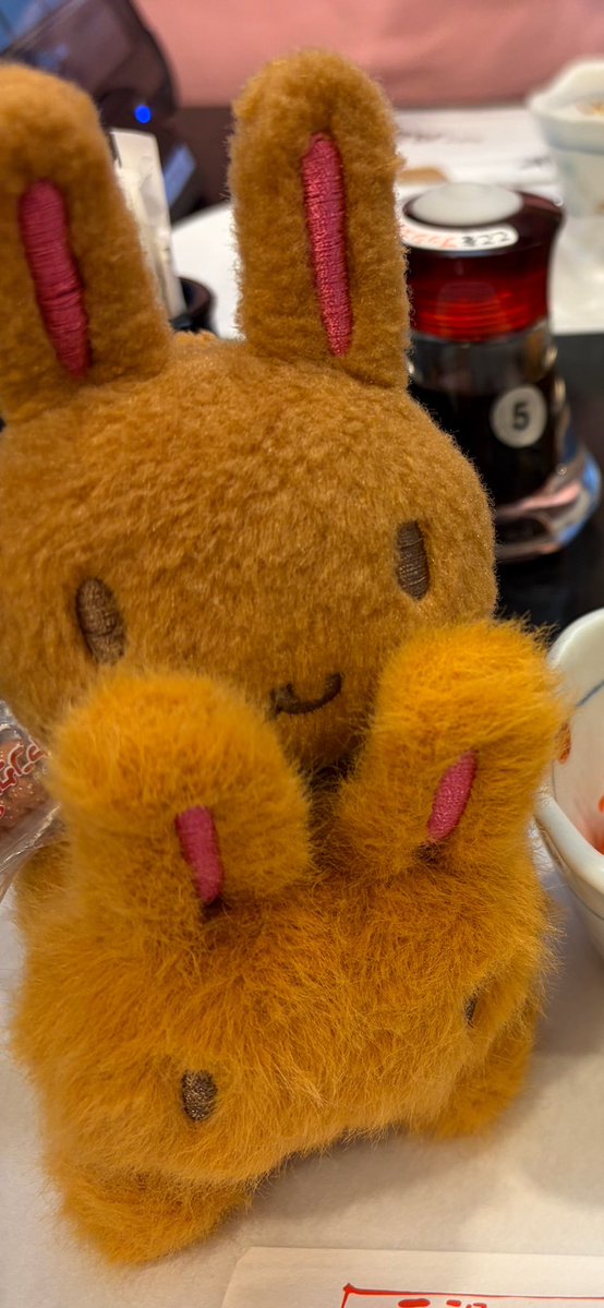 mame1107's tweet image. 名古屋駅11番出口付近の桜通口地下コインロッカーから新幹線下りホームにかけて(もしくは駅周辺)でみみちゃん2つを落としました
・冬ver
・ノーマル ヤングドーナツのキーホルダーが麻紐でついています(画像参照)
 
まだ駅や警察には届いていないようなので見かけた方はご連絡いただけますと幸いです🙇‍♀️