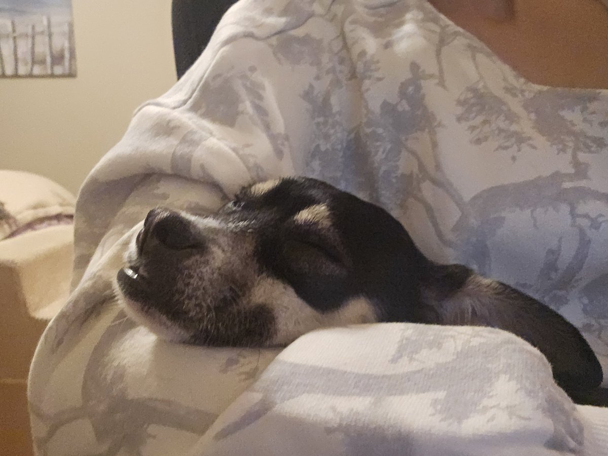 Lindsey Aduskevich tweet media