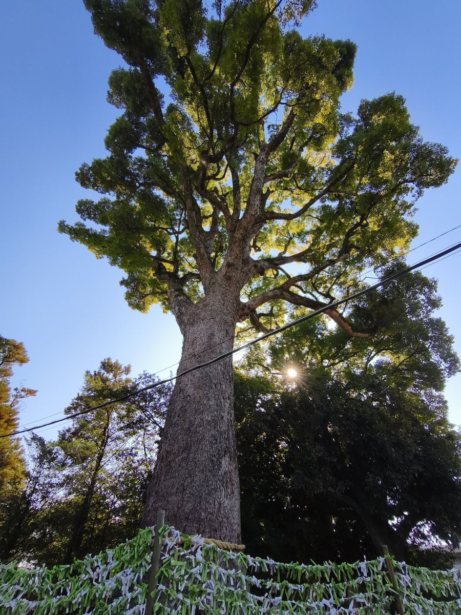 FSBALFA's tweet image. 念願の健軍神社に参拝