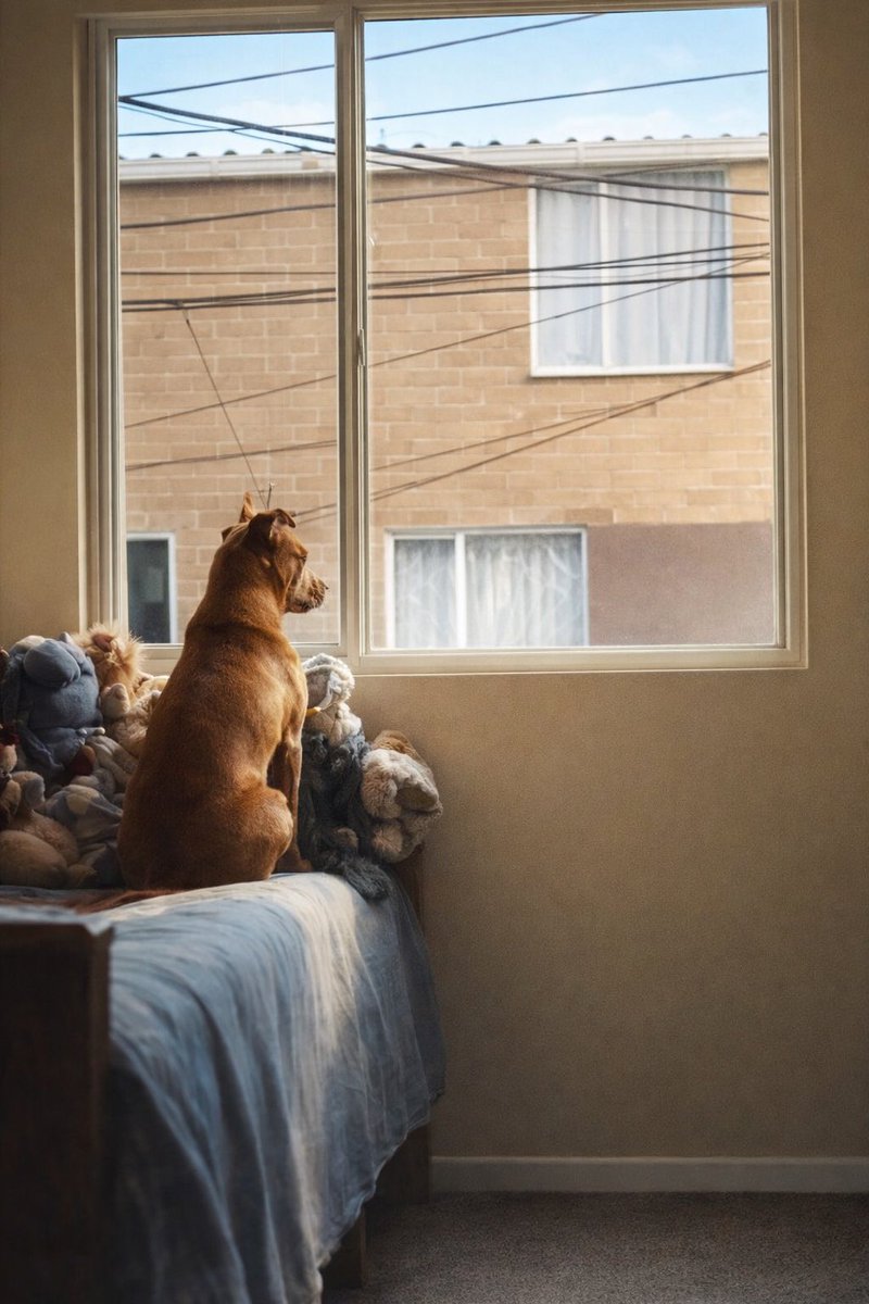 YourExistence's tweet image. Le dije a chatgpt que me arreglara esta foto porque siempre me había culpado por haberle puesto un efecto pedorro, y ahora me estoy acabando el papel higiénico de tanto moco que estoy sacando