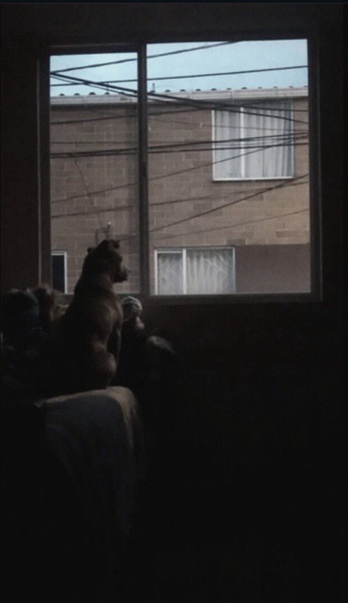 YourExistence's tweet image. Le dije a chatgpt que me arreglara esta foto porque siempre me había culpado por haberle puesto un efecto pedorro, y ahora me estoy acabando el papel higiénico de tanto moco que estoy sacando