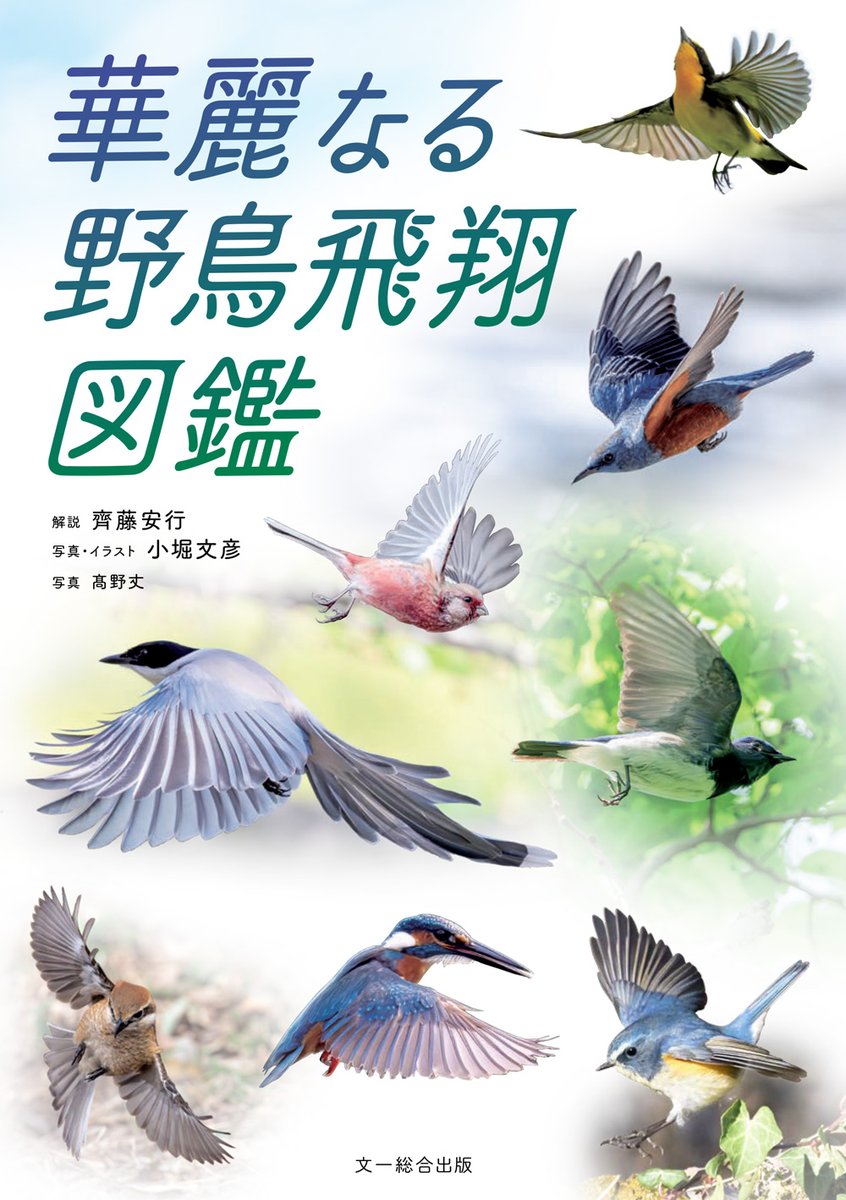 CPプラス2026 CP+ブックマルシェ 出展社紹介📚✨ ✧BIRDER（文一総合