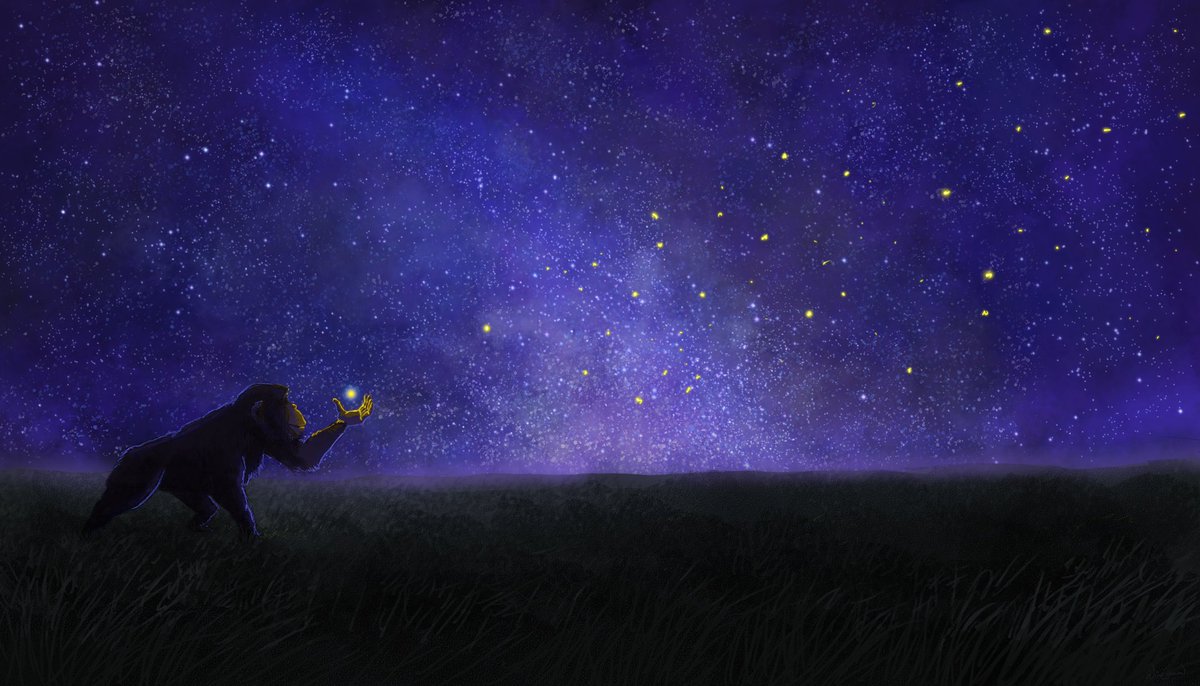 Will Conlon 🇨🇦 tweet media