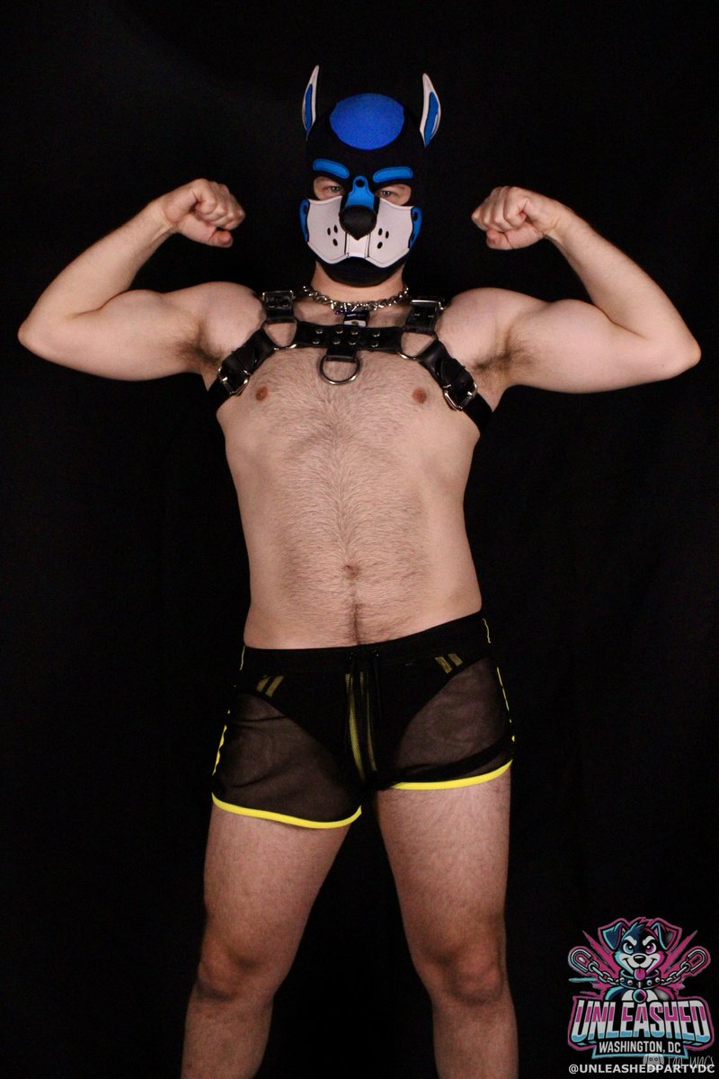 pup blade tweet media