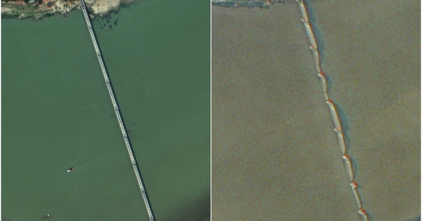 Dean Carter tweet media