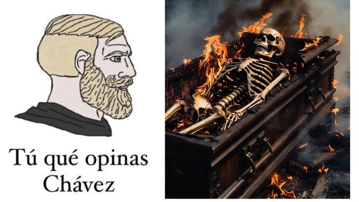 Kukas_domados's tweet image. 