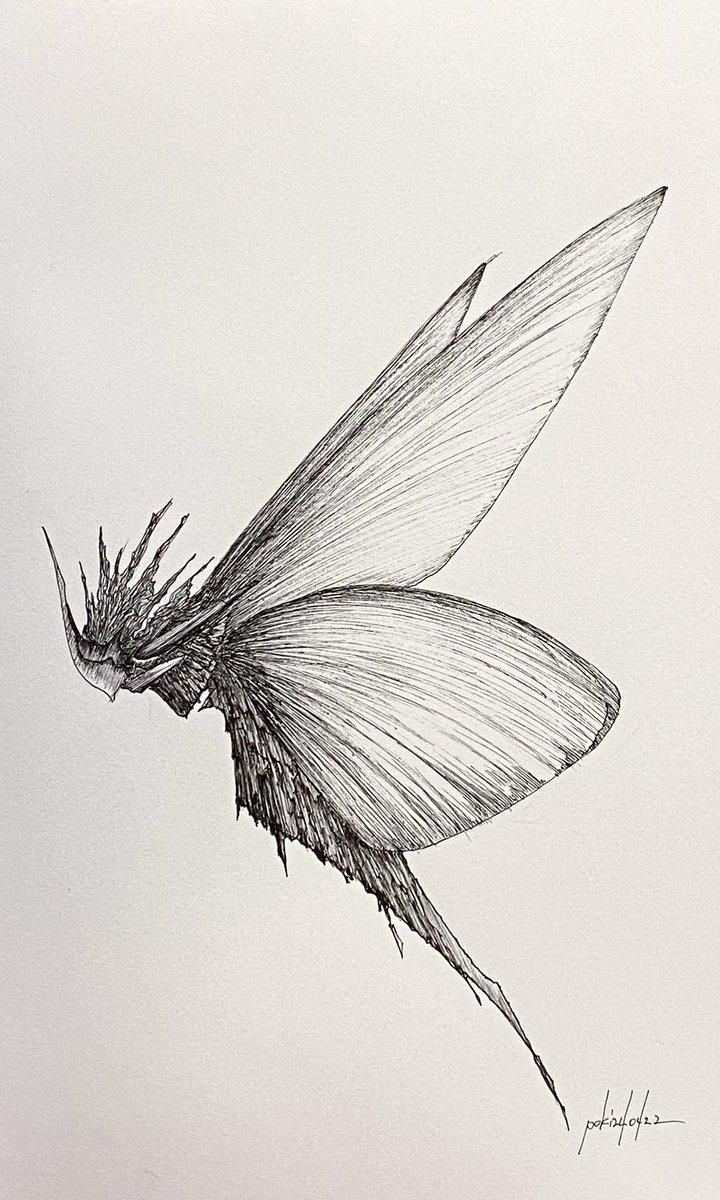 ぽき/poki tweet media