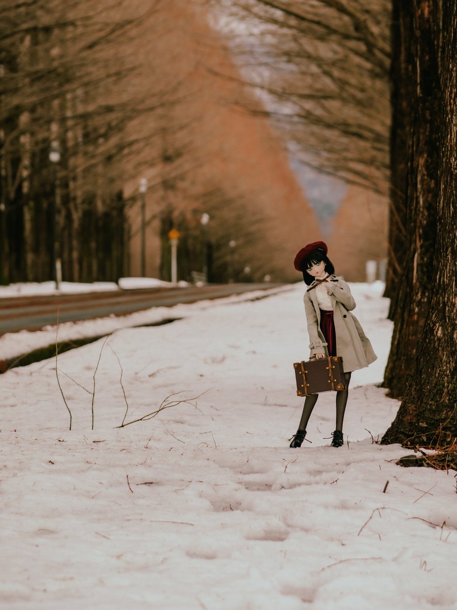 #お昼休みに一枚だけドールの写真をはろう