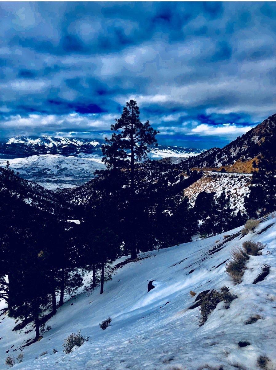 Jim Hawk tweet media