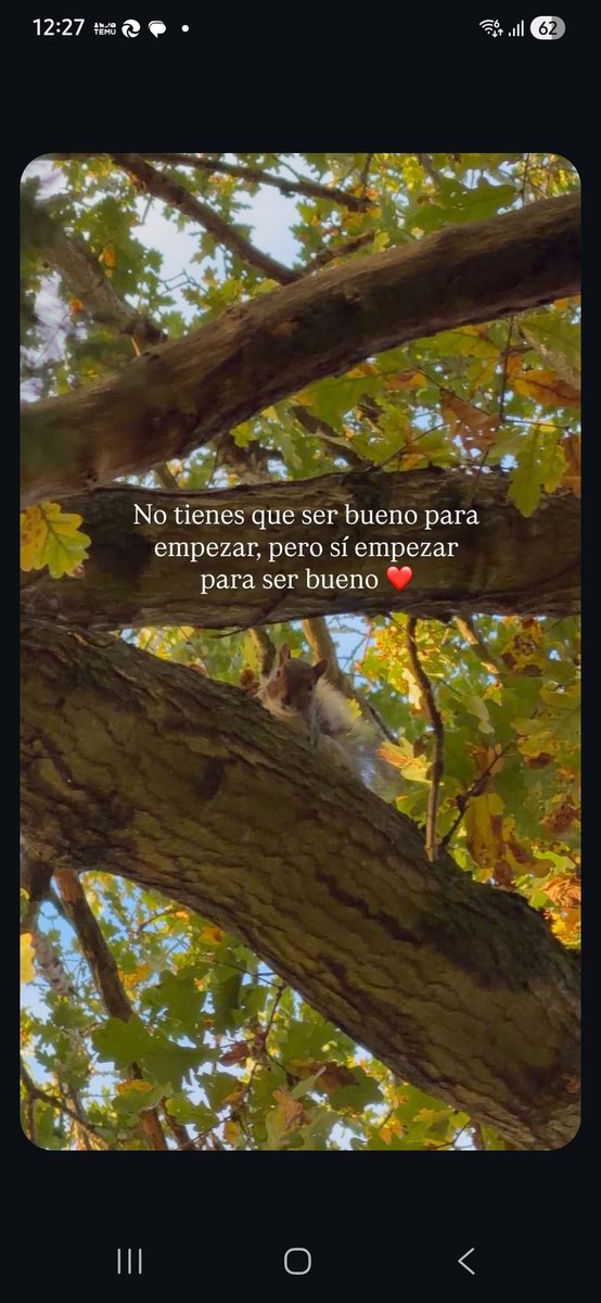 HannelMG's tweet photo. https://t.co/MhORHsUv33