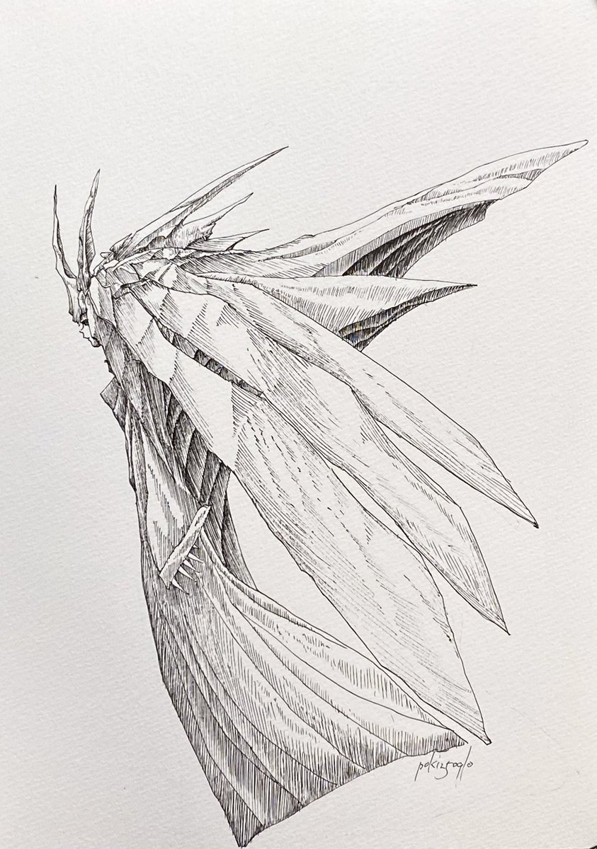 ぽき/poki tweet media