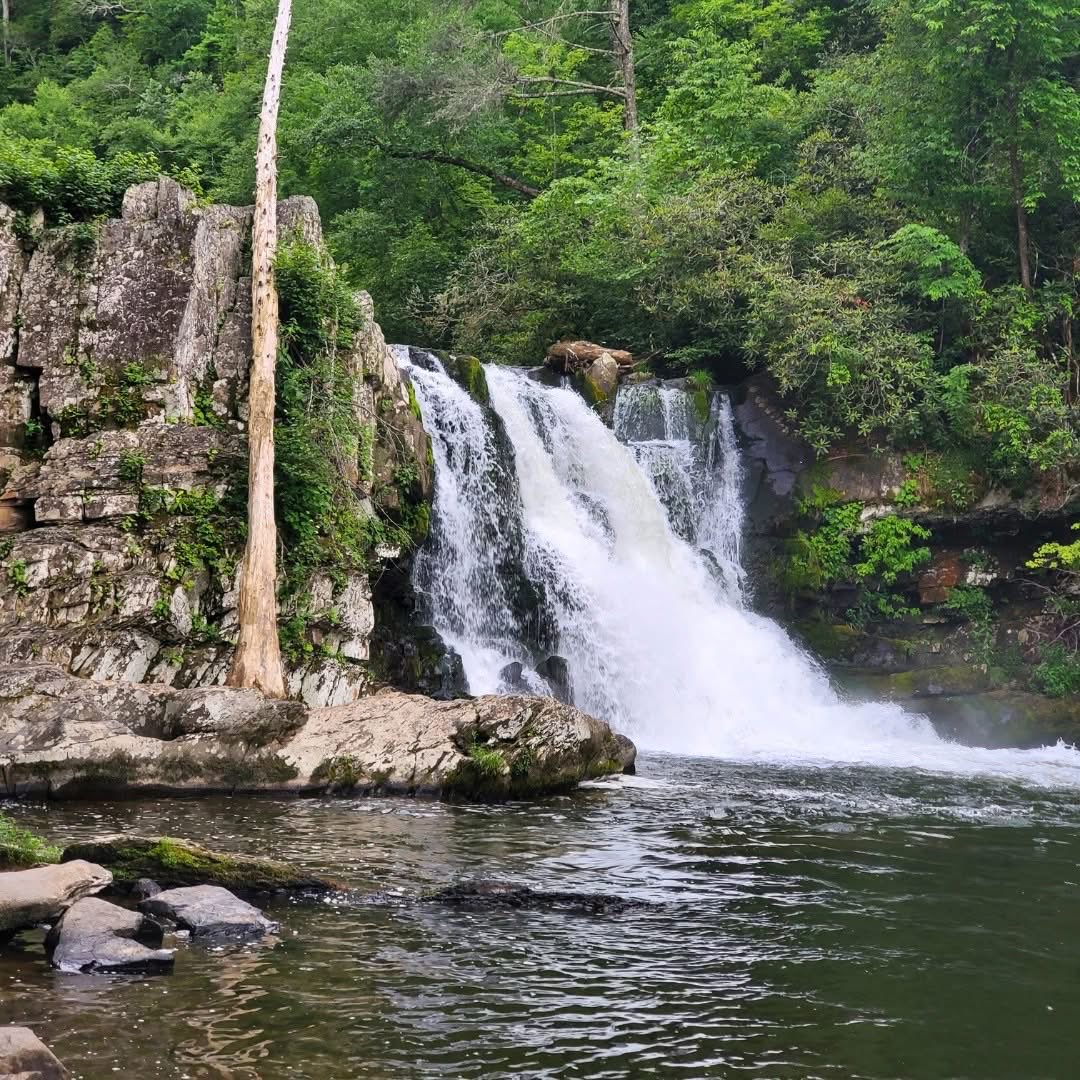 Visit Sevierville tweet media