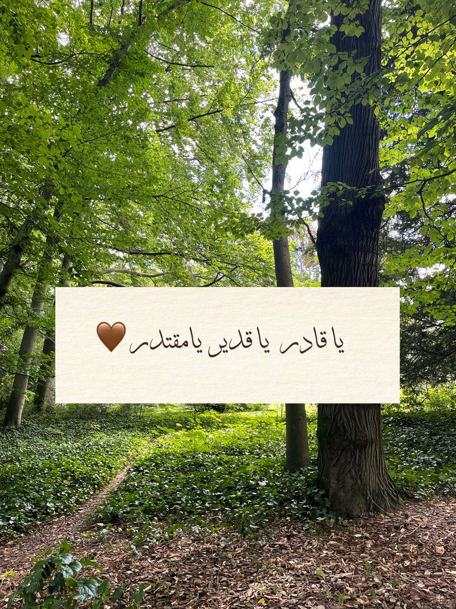 KSARAH__'s tweet image. يااارب 💚