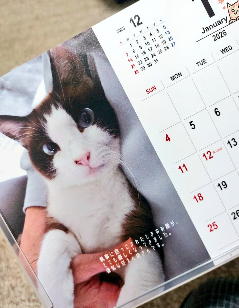 くふみこさん確認用 くふみこさん確認用