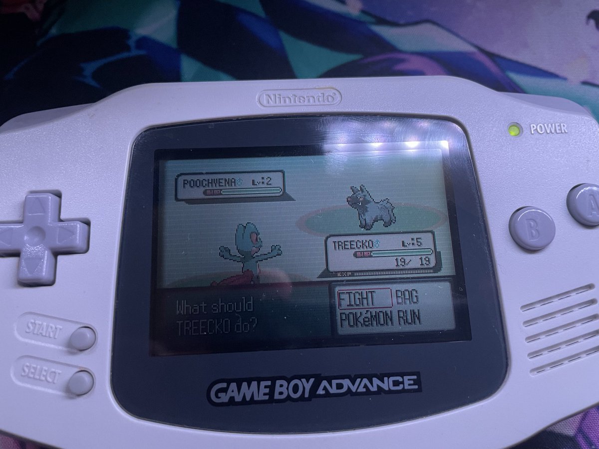 Woooooo a shiny treecko