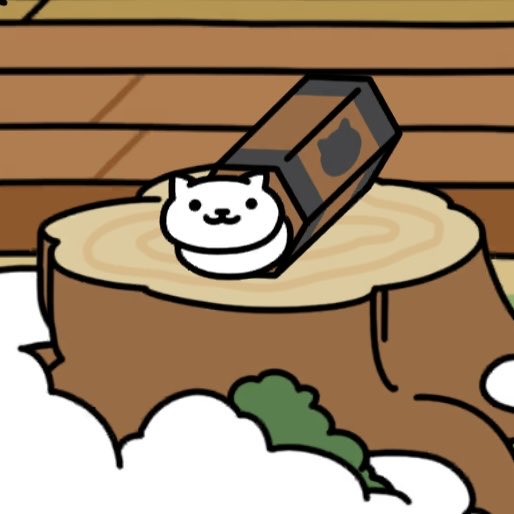 おみくじは✨🤍白猫吉🤍✨🐾