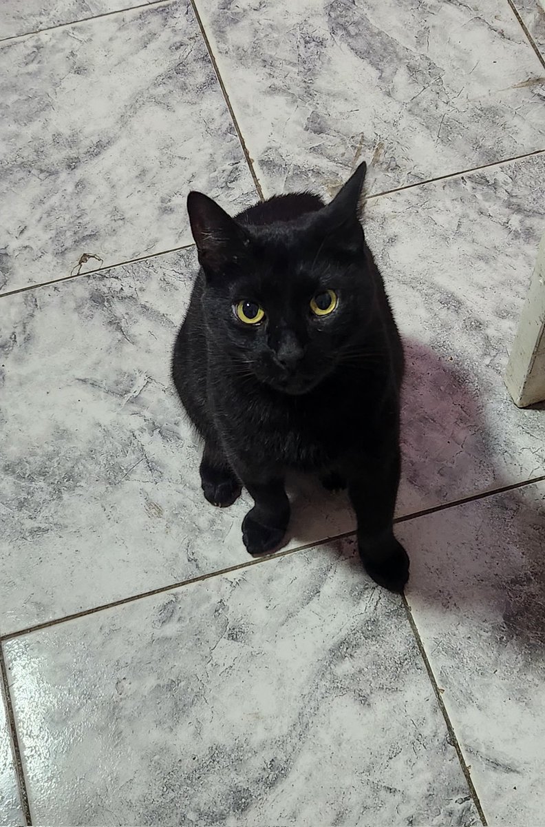 ay dios AY DIOS TE AMO MIREEEEEEM LO HERMOSO Q ES MI GORDO