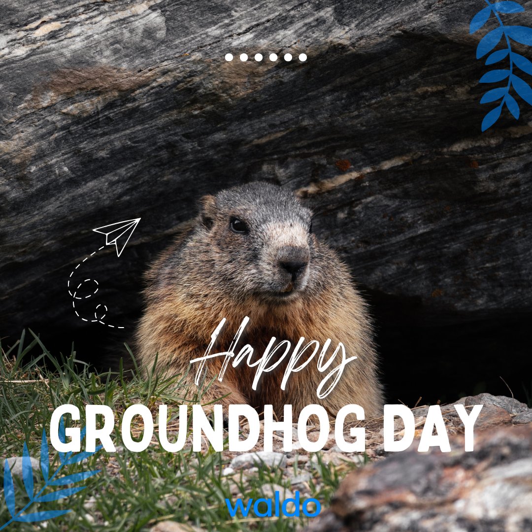 Happy #GroundhogDay!