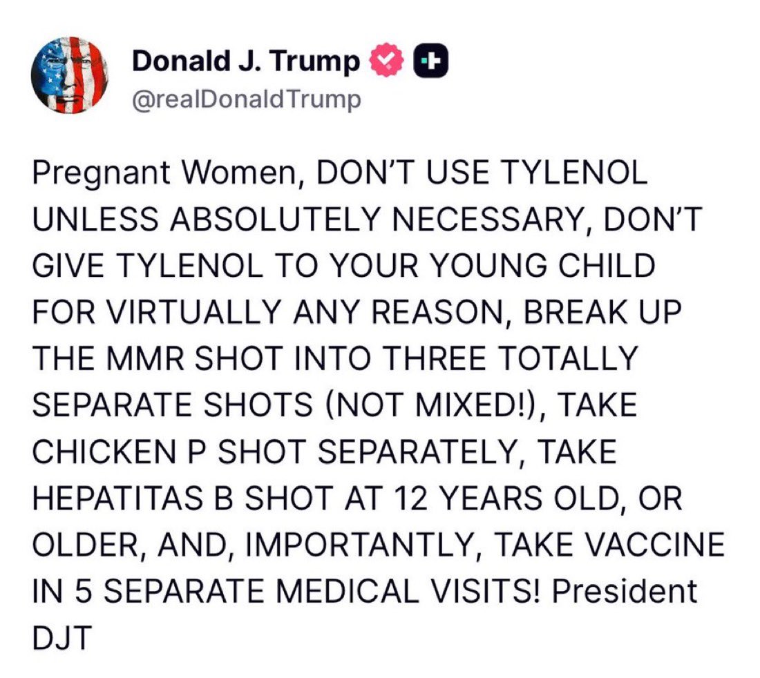 Katie Miller tweet media