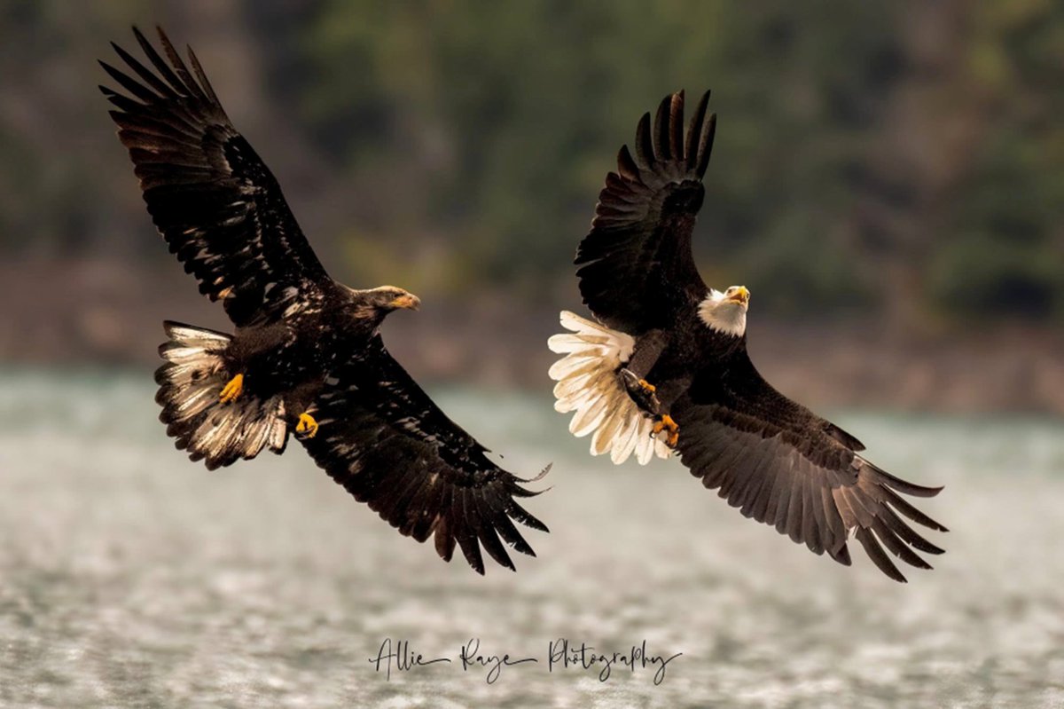 Our January 2026 Newsletter is LIVE!  As we begin a new year, we’re reminded that God’s promises don’t shift with circumstances — and Jesus remains Lord over all.  Catch it at tinyurl.com/3xwscv3e