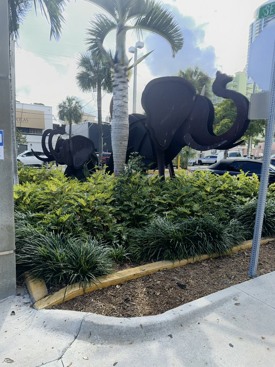 Threw nuts at them and nuffin 😞