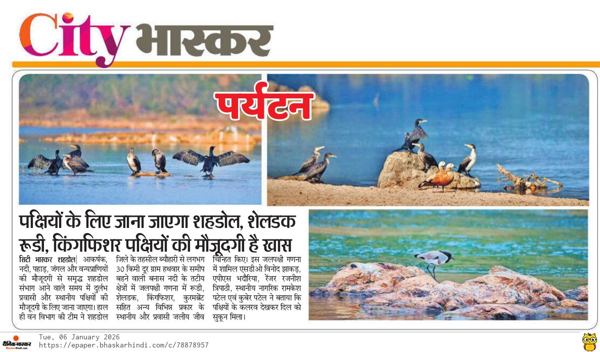 हथवार - शेलडक रूडी, किंगफिशर पक्षियों की मौजूदगी है खास

#शहडोल #shahdol  #DanikBhaskar