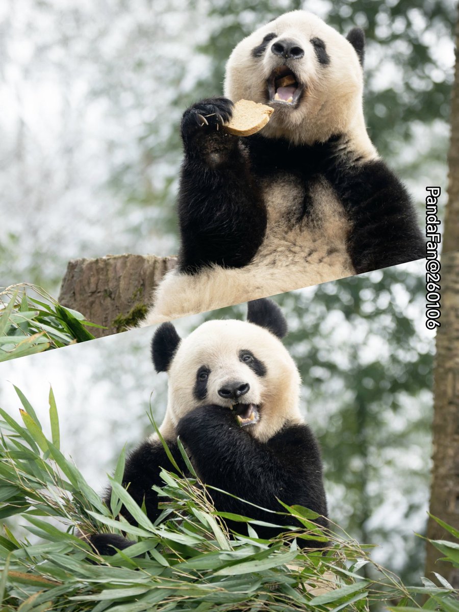 xiangxianglove (@xiangxianglove2) / Posts / X