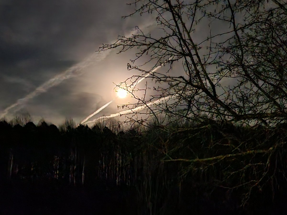 dfeldrid's tweet image. 