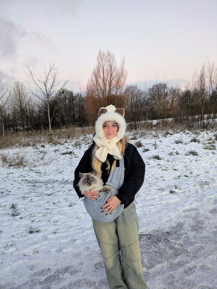 RosemaryPlay's tweet image. Loki on a snowy walk ❄️🐈
#ragdoll #pets #kittycat #cats