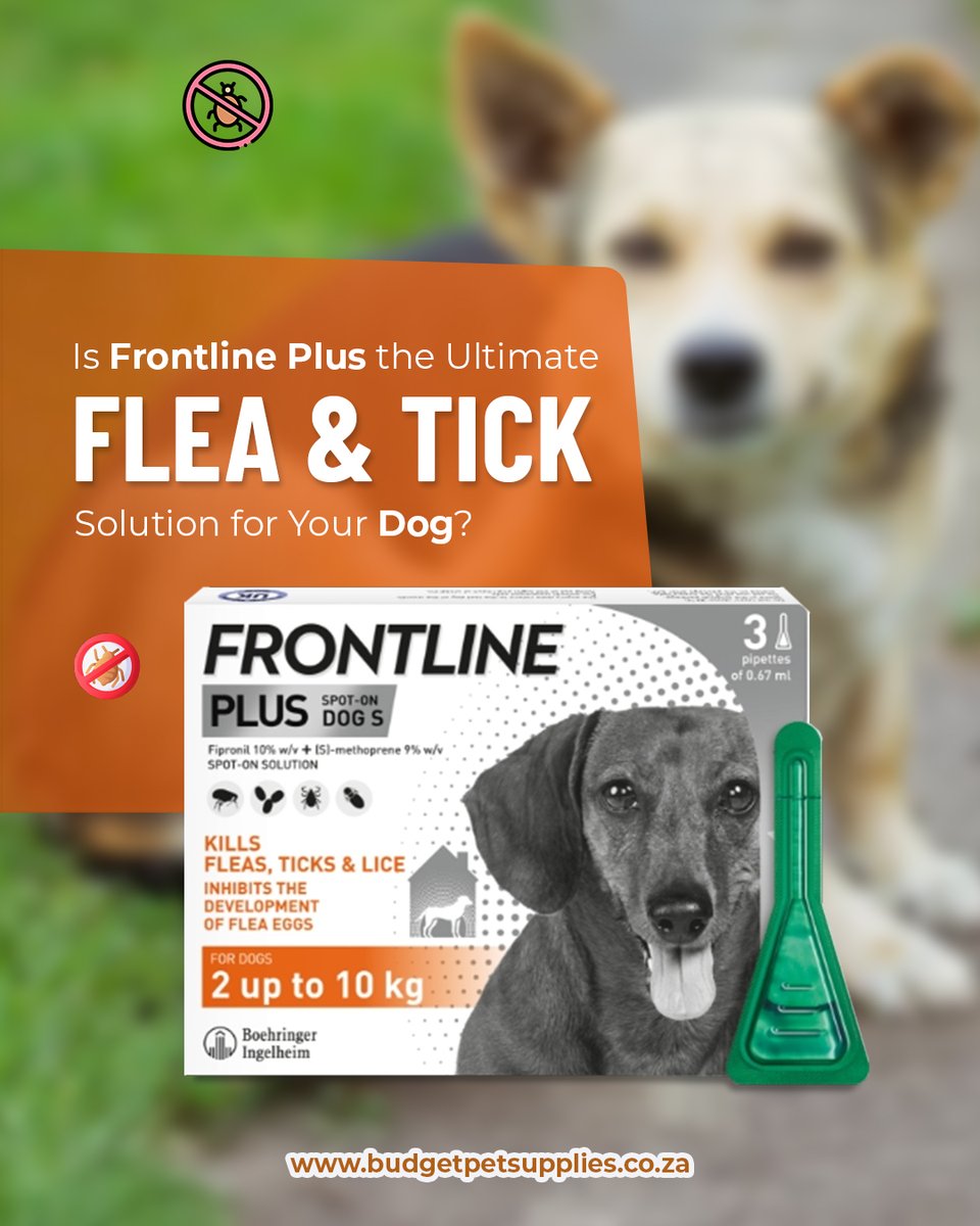 Pet_Supplies_za's tweet image. Fight fleas &amp;amp; ticks the smart way! 💪🐜

Frontline Plus offers fast, long-lasting protection to help keep your dog happy &amp;amp; healthy all month long. 🐾

👉 Read more: bit.ly/49ojCXs

#FrontlinePlus #DogCare #FleaAndTick #PetSafety #PetAdvice