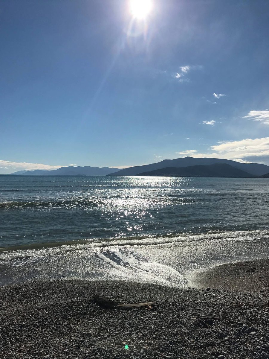 Elina Moustaira tweet media