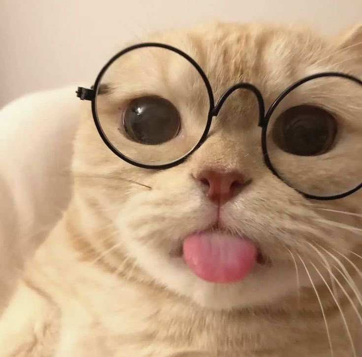 뽀 (@yebpi_) on Twitter photo 