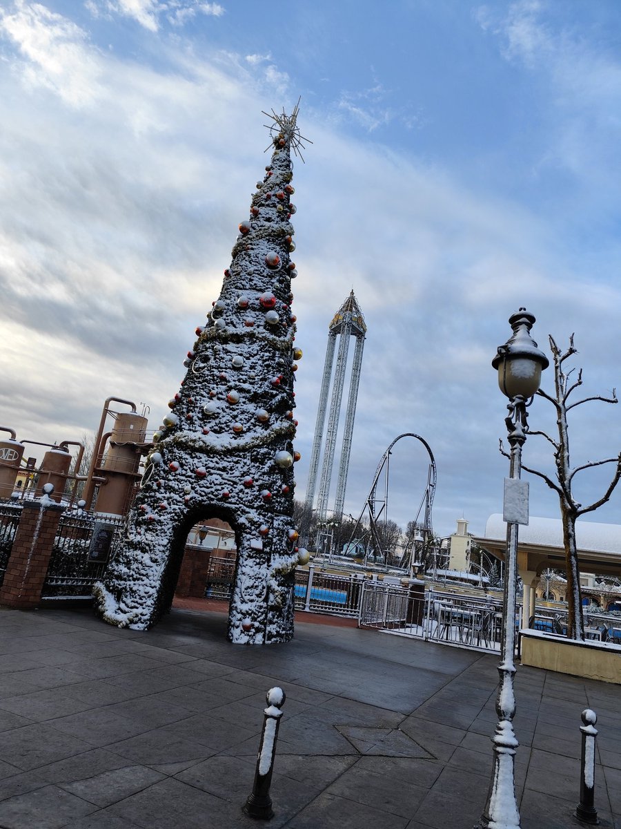 Robert ✨ tweet media