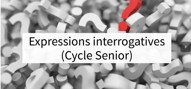 AIPLF French Teachers 🇮🇪 🇫🇷 tweet media