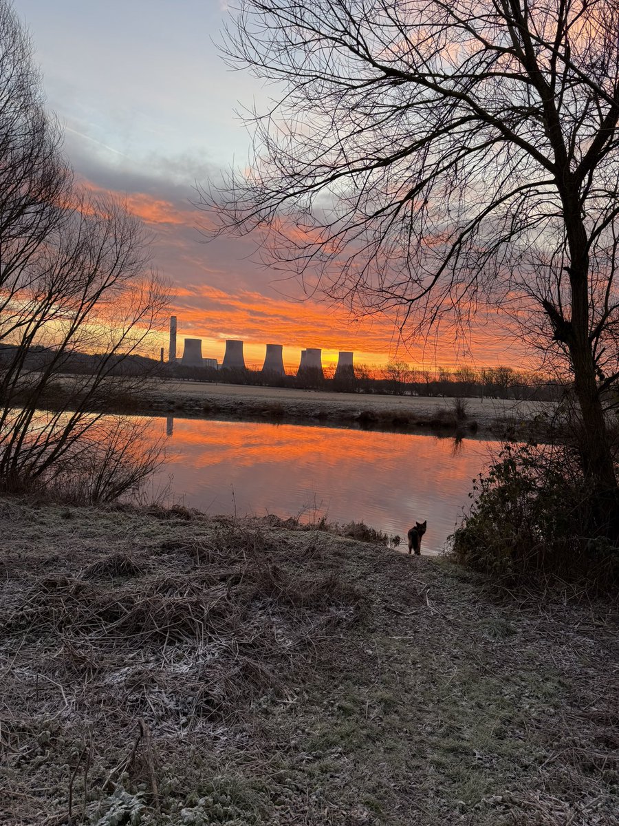 Rob Butler tweet media