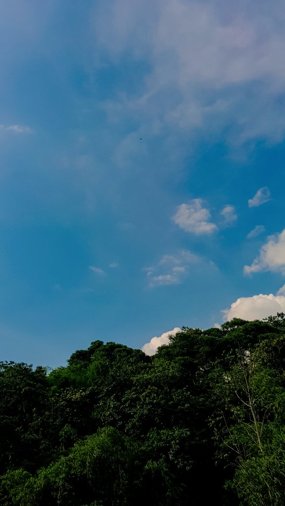 ghi | open custom crochet ✨️ tweet media