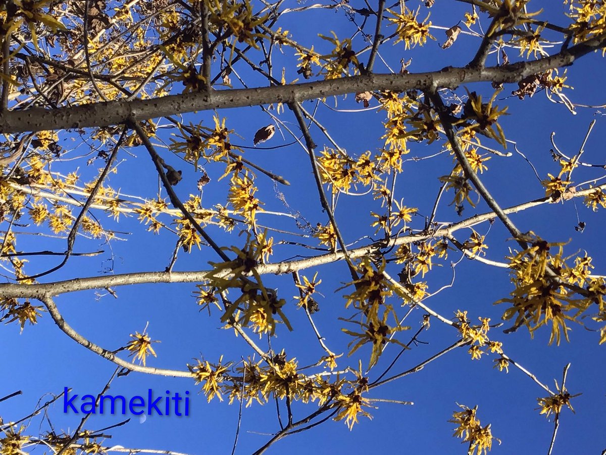 かめきちさま確認ページ♡ かめきちさま確認ページ♡ かめきちさま確認ページ♡ Yさま確認ページ