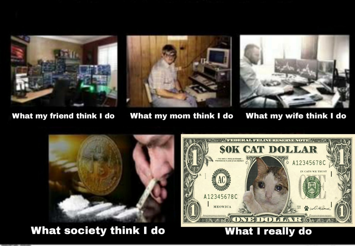 My meme <a href="/okcatmeme/">ok cat</a> 
$ok