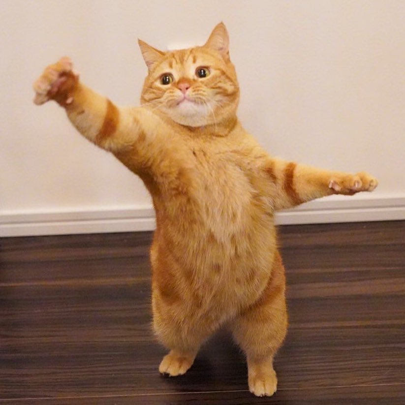 korekaramowish's tweet image. 에 나니? 딴딴딴~.. 딴딴딴~.. 딴딴딴~.. 딴딴딴~..