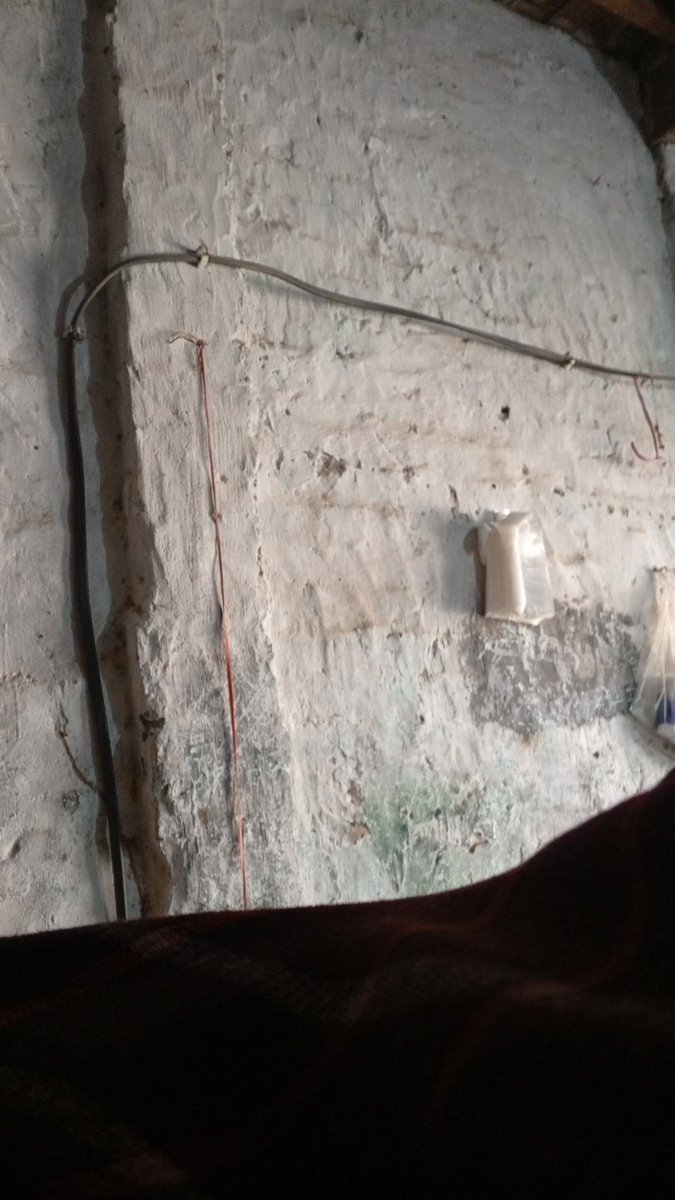 Steve Wells tweet media